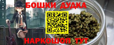 прущие крисы Камышлов