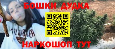 прущие крисы Камышлов