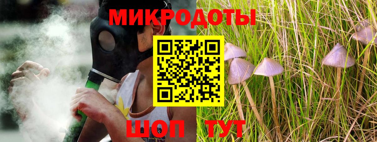 Галлюциногенные грибы Psilocybine cubensis Кувандык