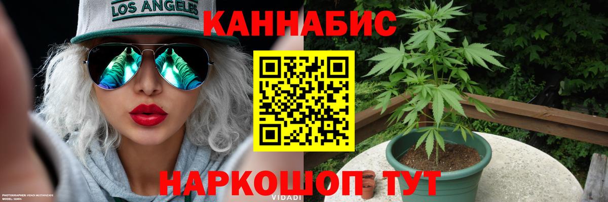 Шишки марихуана семена Кувандык